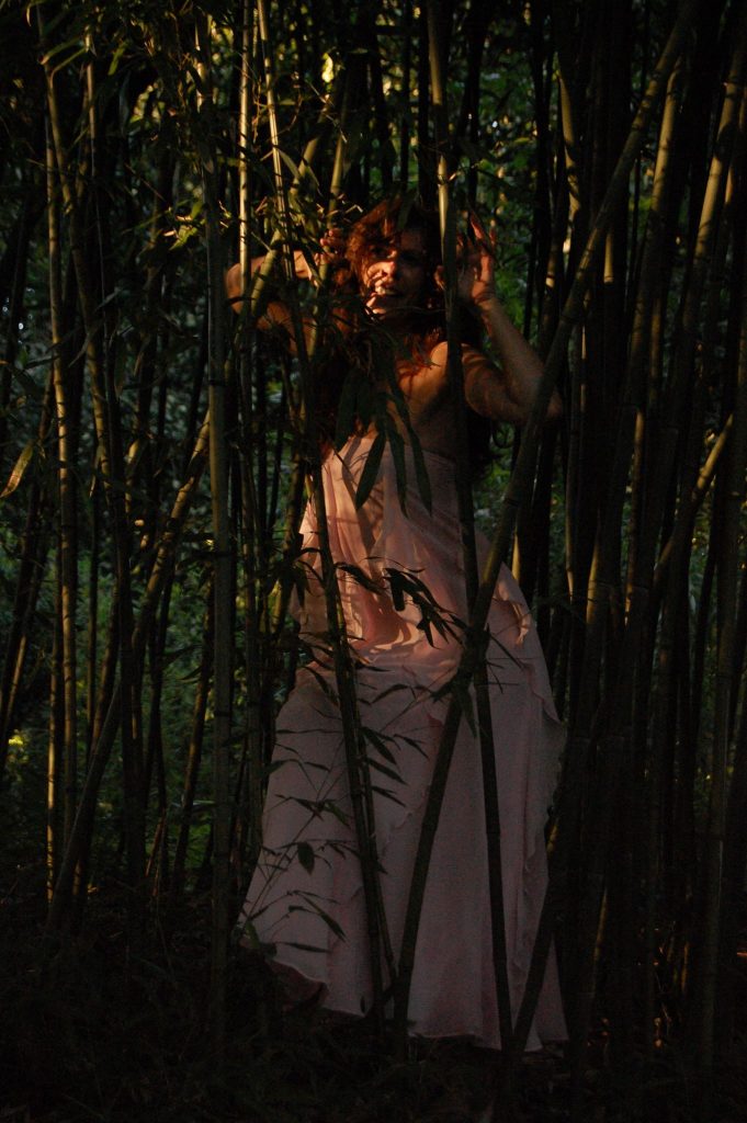 Gefangen vom Zauber des Bambus-Waldes